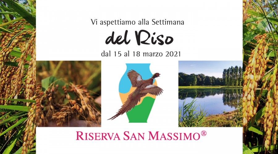 Settimana del Riso | Rice Week